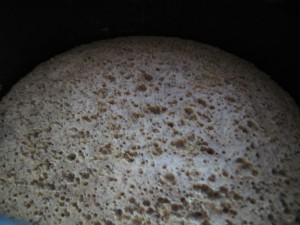 шоколадный кекс